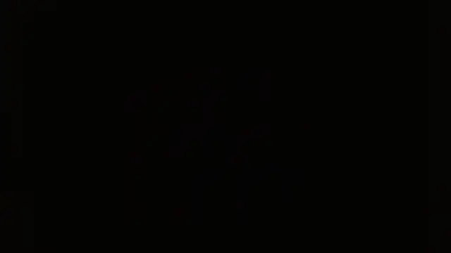 pia_houns17's cam snapshot