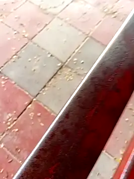 Horny-boyyy's cam snapshot