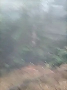 lemon-beo's cam snapshot