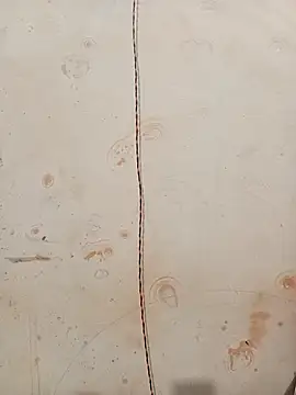 Anjali_hot5's cam snapshot