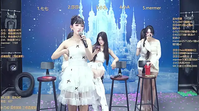 SK010's cam snapshot