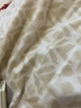 Lothentik live sex cam