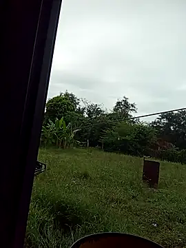 natally_ross21 live sex cam