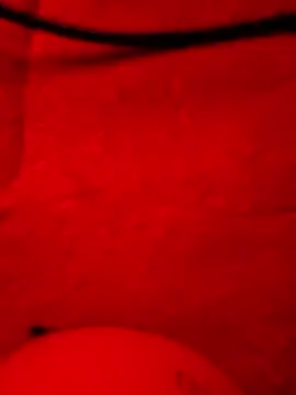 -Bunny-y's cam snapshot