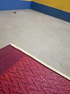 soybur's cam snapshot