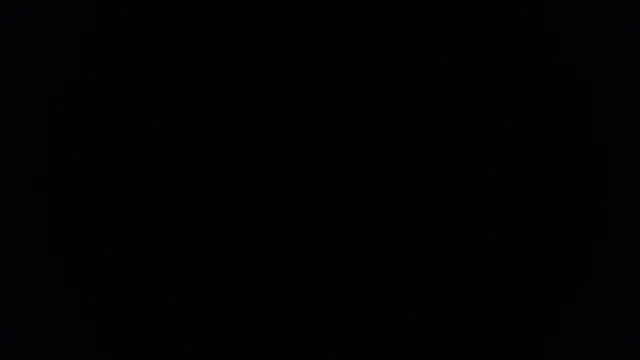 palidin1's cam snapshot