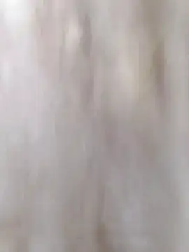 Alisasex@xh live sex cam