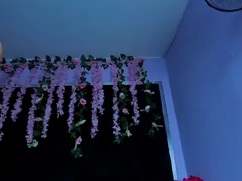 nicolfontana_'s cam snapshot