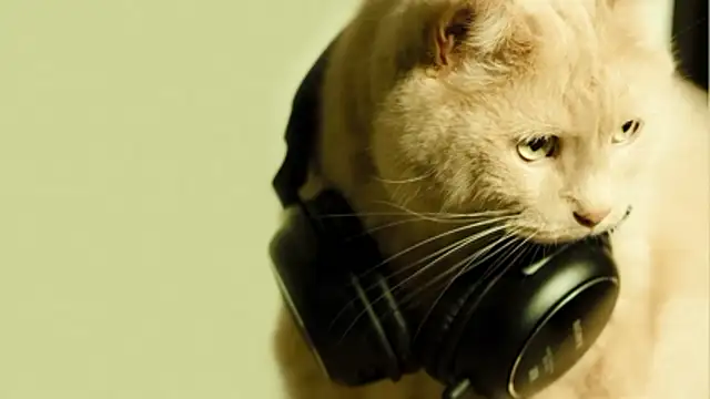 Magic_Katarina_'s cam snapshot