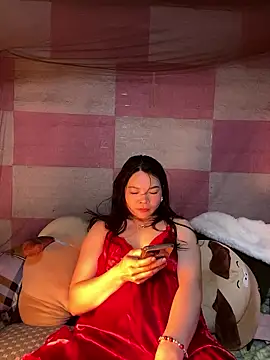 Aminotran's cam snapshot