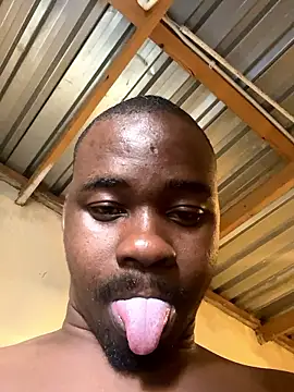 solodrive's cam snapshot