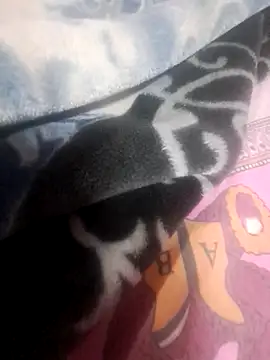 Pinky_1369's cam snapshot