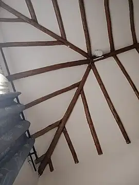 tata_sanz_'s cam snapshot