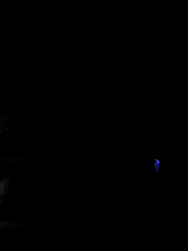 1727Marco live sex cam