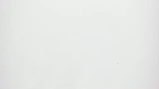 Candy_And_Andy_'s cam snapshot