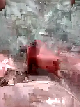 Luispp15cm's cam snapshot