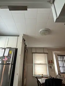 SpaceCowWhore's cam snapshot