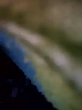 Pitercom live sex cam