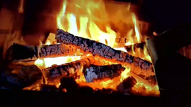 missytrig live sex cam