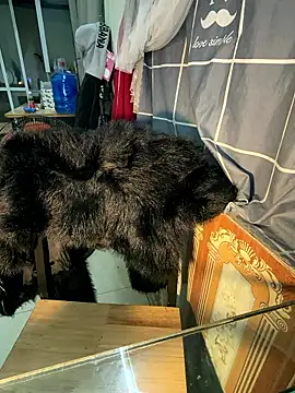 -Moon-20's cam snapshot