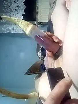 Jarektchurzewski's cam snapshot