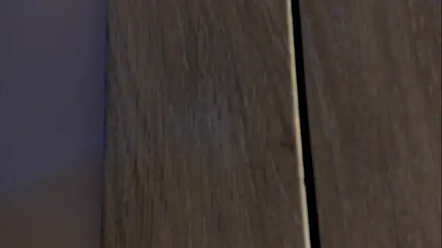 Rachel_Rey live sex cam