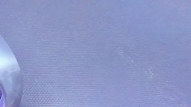 Rose-Baby's cam snapshot