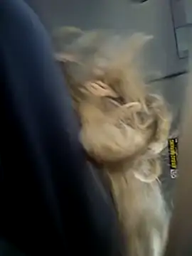 NickiiBianca's cam snapshot