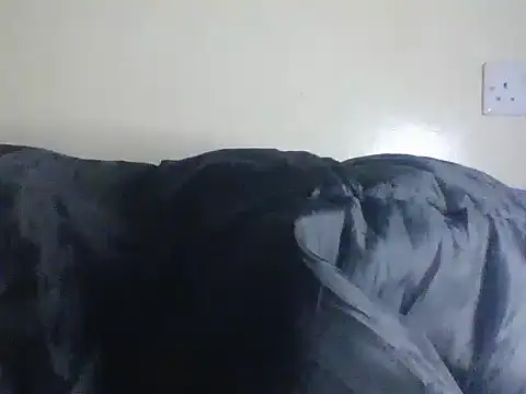 siphestripz's cam snapshot