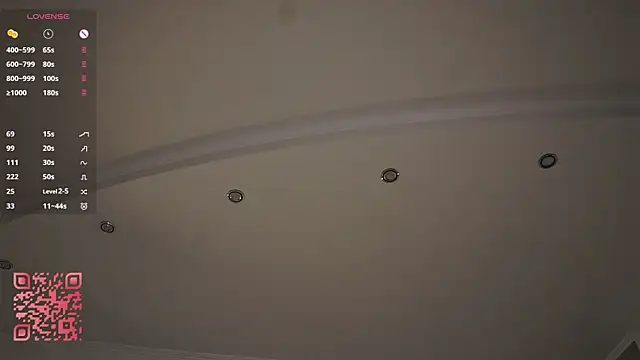 Lanenger's cam snapshot