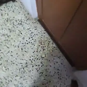 fuckingrajaforu's cam snapshot