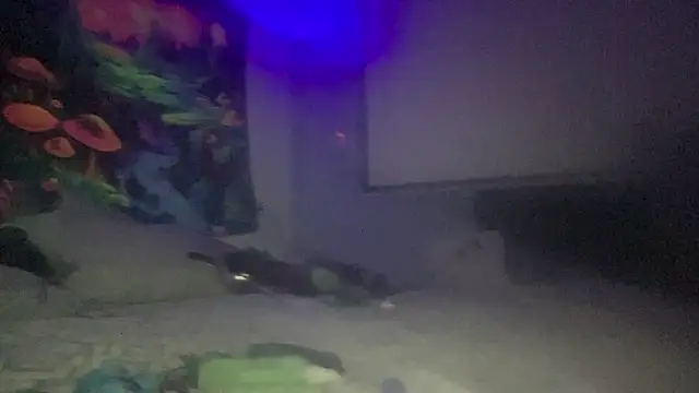 Fr4nk1eFFuxxx live sex cam