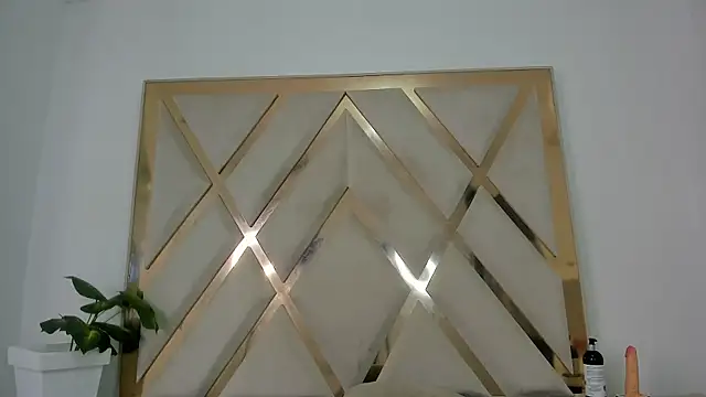 Selenaasm's cam snapshot