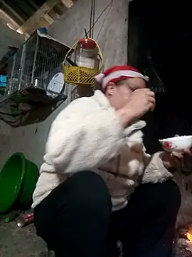 riso-00's cam snapshot