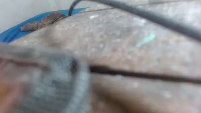 the_breasts_of_desir_ live sex cam