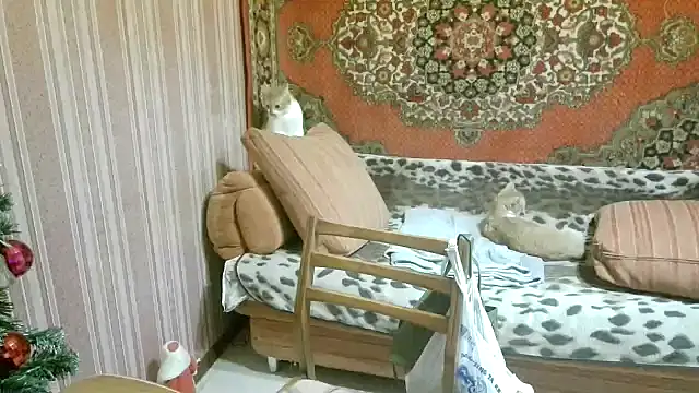 Kathlyn__Heath live sex cam