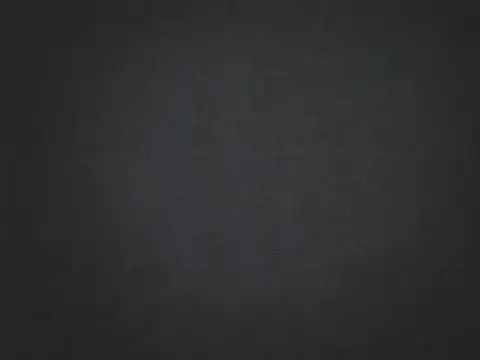 TheBunnyAndTheMaster live sex cam