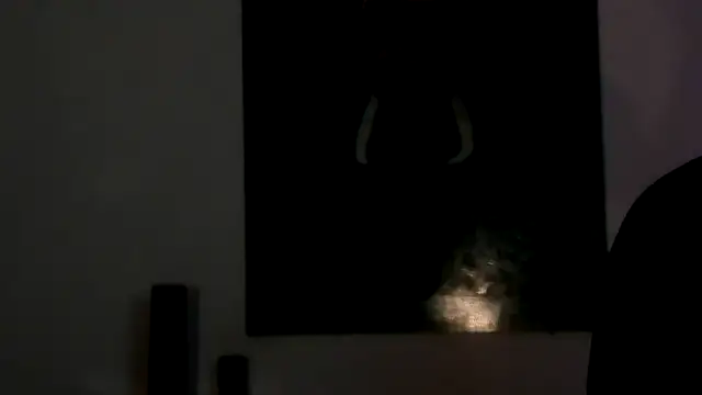 alisaa_jhons1's cam snapshot