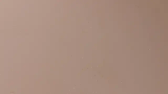 ParisFox_ live sex cam