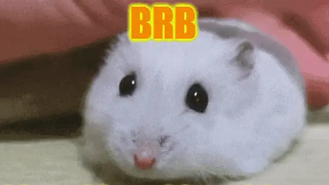 Lolly_Fly live sex cam