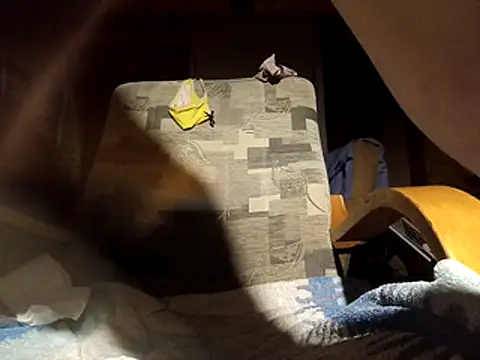 EngagingEvidence25's cam snapshot