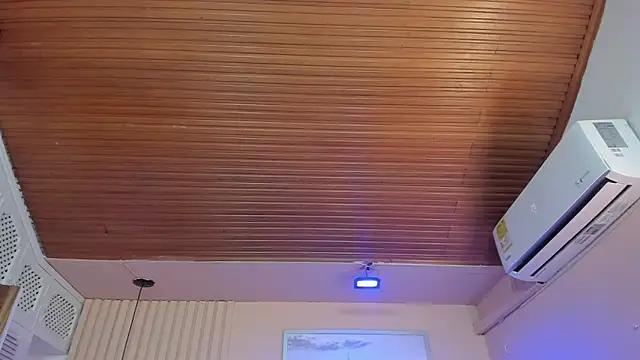 viiolett_lee's cam snapshot