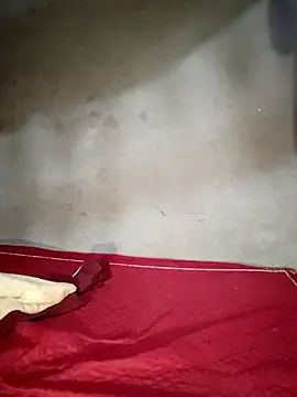 sully2k5's cam snapshot