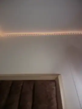 Shara_dreams live sex cam