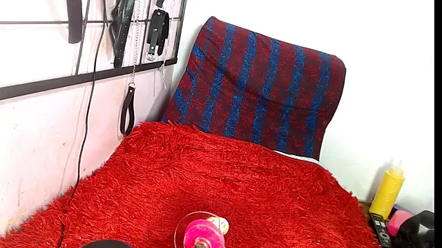 codorniz2025's cam snapshot