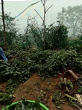 waaini99's cam snapshot