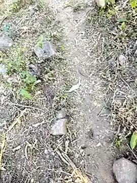 desi_alpha_boy live sex cam