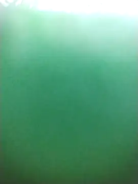 Mlemmz's cam snapshot