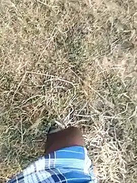 dolphiinn live sex cam