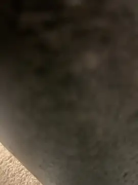 plaintreebull's cam snapshot